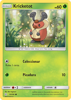 Card 13