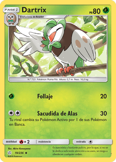 Card 19