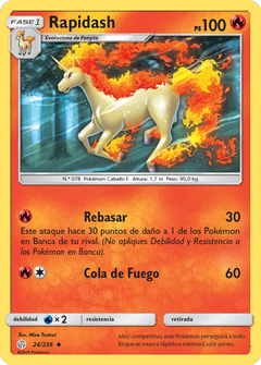Card 24