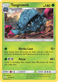 Card 6