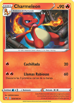 Card 24