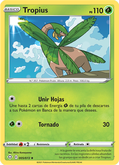 Card 5