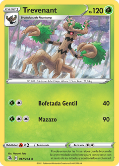 Card 17