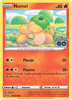Card 13