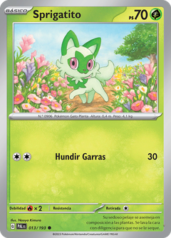Card 13