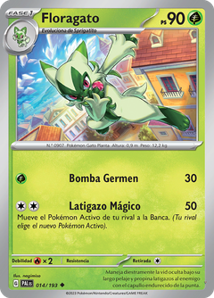 Card 14