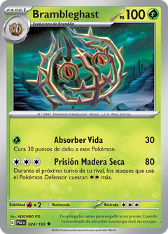 Card 24