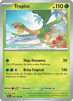 Card 7