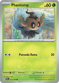 Card 11