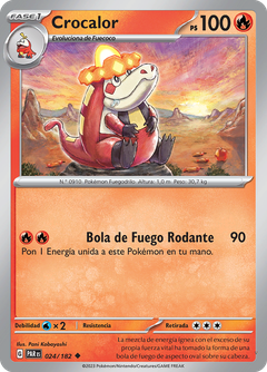 Card 24