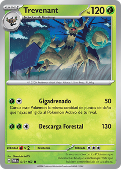Card 13