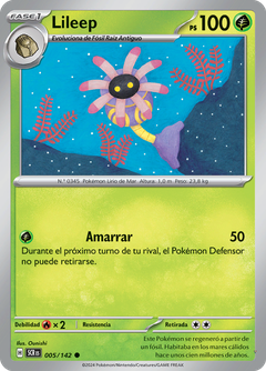 Card 5