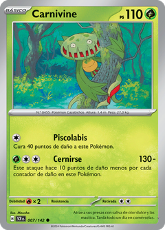 Card 7