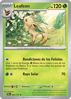 Card 5