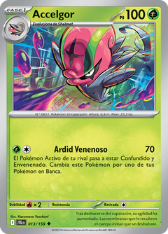 Card 13