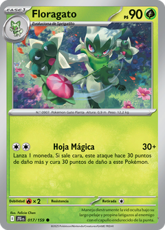 Card 17
