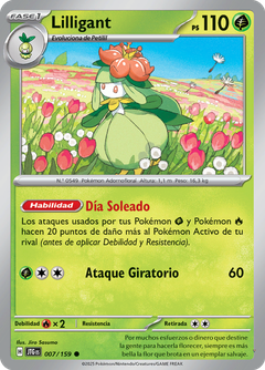 Card 7
