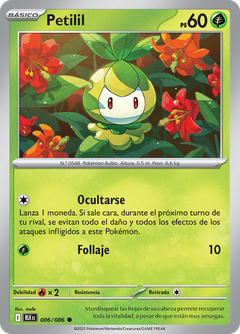Card 6