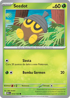 Card 13