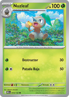 Card 14