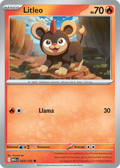 Card 23