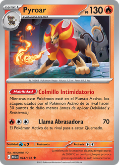 Card 24