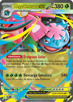 Card 13