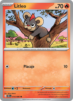 Card 14