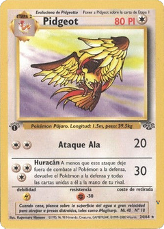 Card 24
