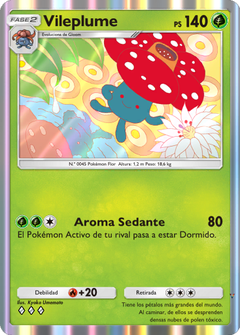Card 13