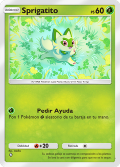 Card 5