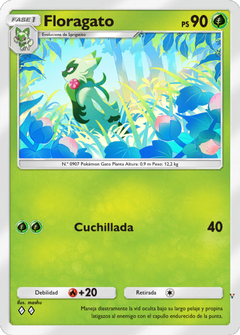 Card 6