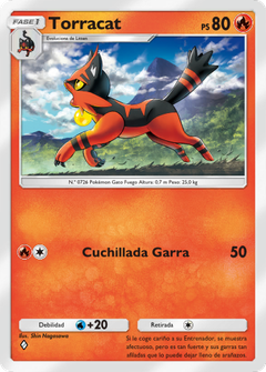 Card 12