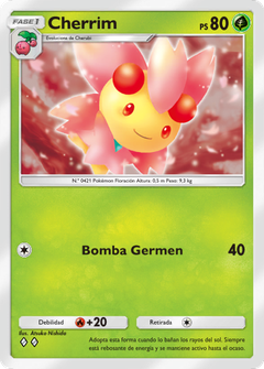 Card 24