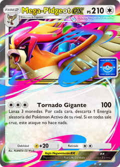 Card 6