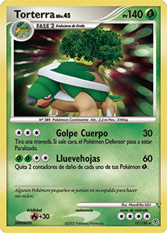 Card 17