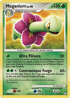 Card 13