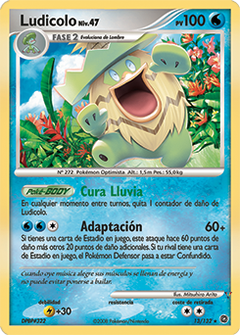 Card 13