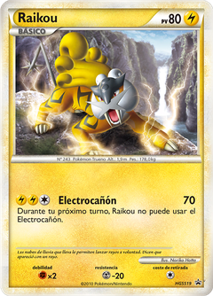 Card HGSS19