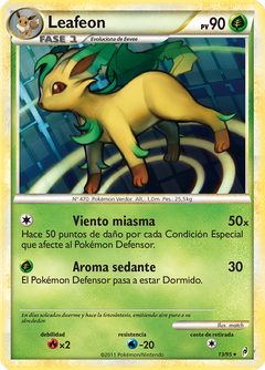 Card 13