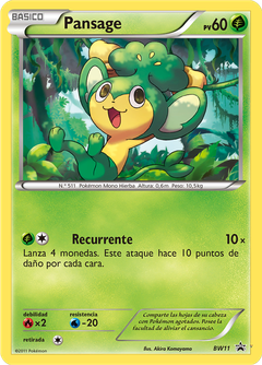 Card BW11