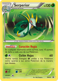 Card BW20