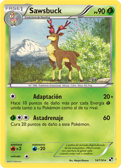 Card 14