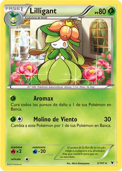Card 5