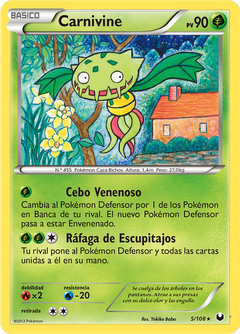 Card 5