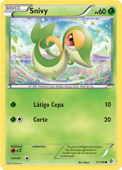 Card 11