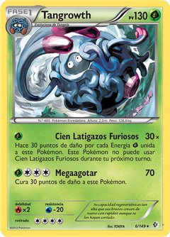 Card 6