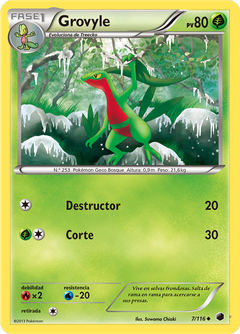 Card 7