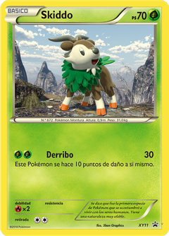 Card XY11