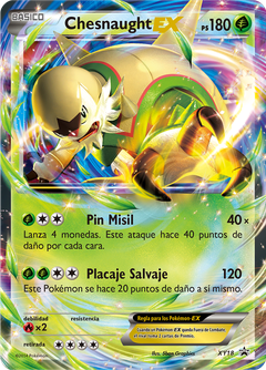 Card XY18